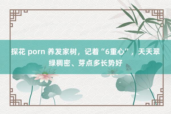 探花 porn 养发家树，记着“6重心”，天天翠绿稠密、芽点多长势好