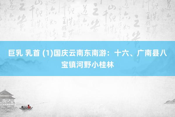 巨乳 乳首 (1)国庆云南东南游：十六、广南县八宝镇河野小桂林