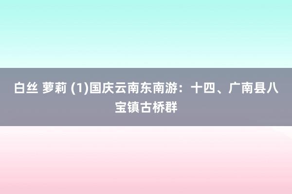 白丝 萝莉 (1)国庆云南东南游：十四、广南县八宝镇古桥群