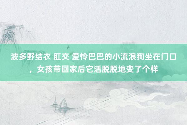 波多野结衣 肛交 爱怜巴巴的小流浪狗坐在门口，女孩带回家后它活脱脱地变了个样