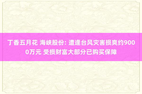 丁香五月花 海峡股份: 遭逢台风灾害损爽约9000万元 受损财富大部分已购买保障