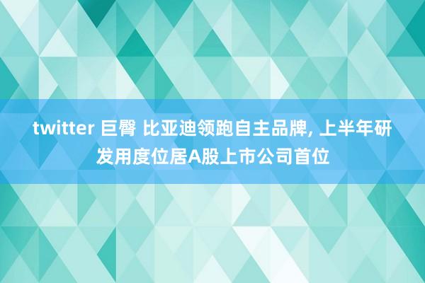 twitter 巨臀 比亚迪领跑自主品牌， 上半年研发用度位居A股上市公司首位