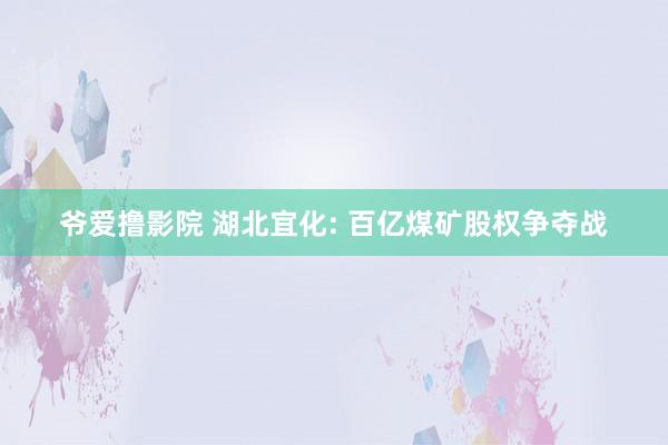 爷爱撸影院 湖北宜化: 百亿煤矿股权争夺战