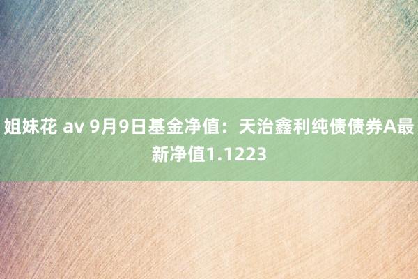 姐妹花 av 9月9日基金净值：天治鑫利纯债债券A最新净值1.1223