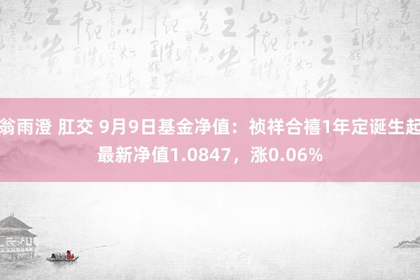 翁雨澄 肛交 9月9日基金净值：祯祥合禧1年定诞生起最新净值1.0847，涨0.06%