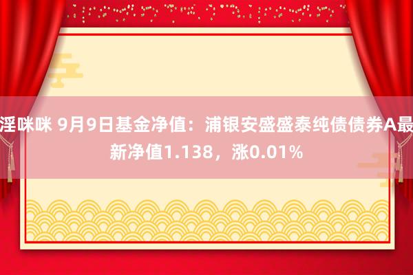 淫咪咪 9月9日基金净值：浦银安盛盛泰纯债债券A最新净值1.138，涨0.01%