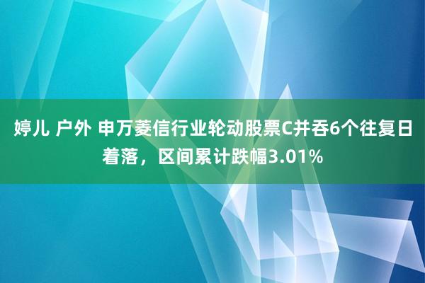 婷儿 户外 申万菱信行业轮动股票C并吞6个往复日着落，区间累计跌幅3.01%