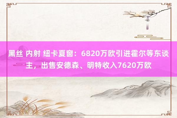 黑丝 内射 纽卡夏窗：6820万欧引进霍尔等东谈主，出售安德森、明特收入7620万欧