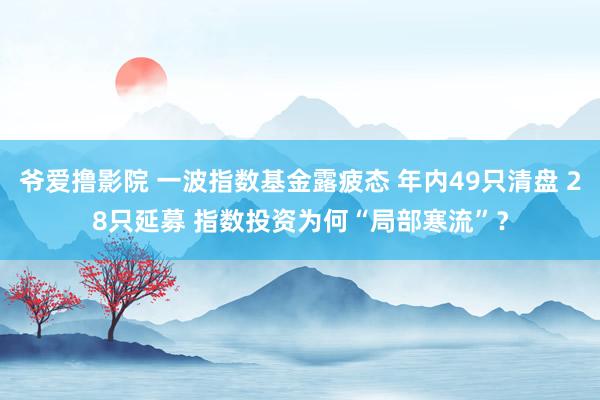 爷爱撸影院 一波指数基金露疲态 年内49只清盘 28只延募 指数投资为何“局部寒流”？