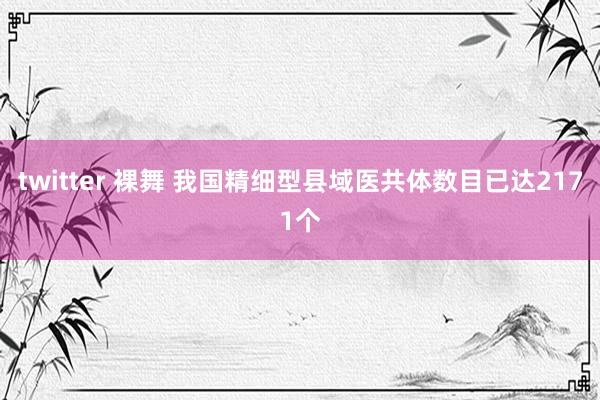 twitter 裸舞 我国精细型县域医共体数目已达2171个