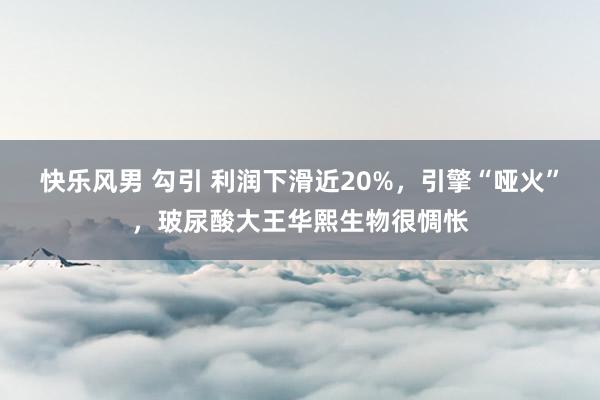 快乐风男 勾引 利润下滑近20%，引擎“哑火”，玻尿酸大王华熙生物很惆怅