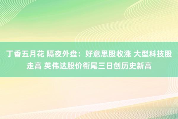 丁香五月花 隔夜外盘：好意思股收涨 大型科技股走高 英伟达股价衔尾三日创历史新高