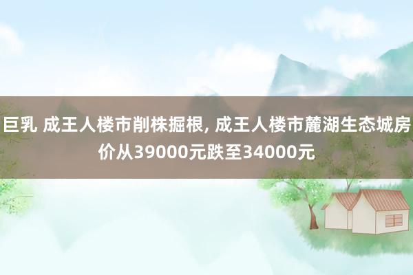 巨乳 成王人楼市削株掘根， 成王人楼市麓湖生态城房价从39000元跌至34000元