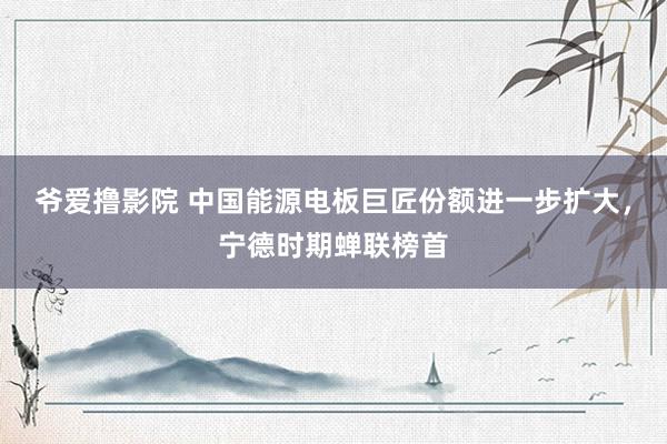 爷爱撸影院 中国能源电板巨匠份额进一步扩大，宁德时期蝉联榜首