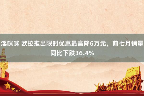 淫咪咪 欧拉推出限时优惠最高降6万元，前七月销量同比下跌36.4%