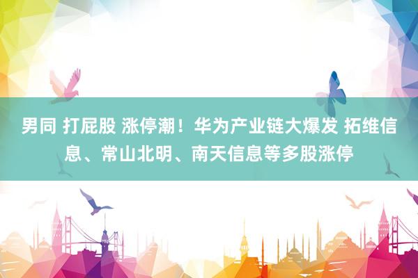 男同 打屁股 涨停潮！华为产业链大爆发 拓维信息、常山北明、南天信息等多股涨停