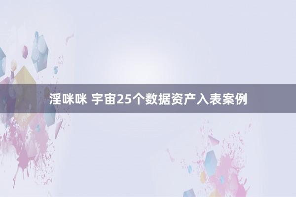 淫咪咪 宇宙25个数据资产入表案例