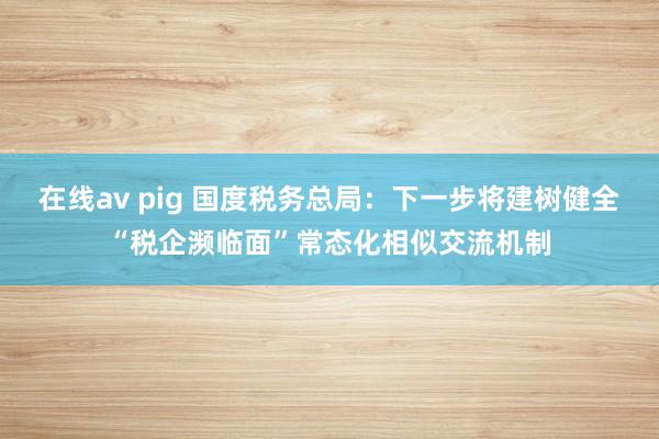 在线av pig 国度税务总局：下一步将建树健全“税企濒临面”常态化相似交流机制