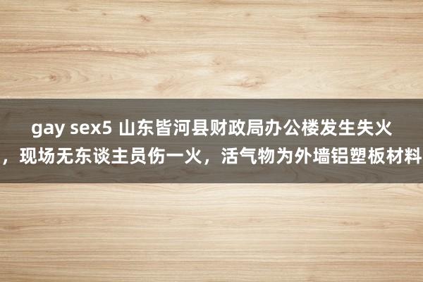 gay sex5 山东皆河县财政局办公楼发生失火，现场无东谈主员伤一火，活气物为外墙铝塑板材料