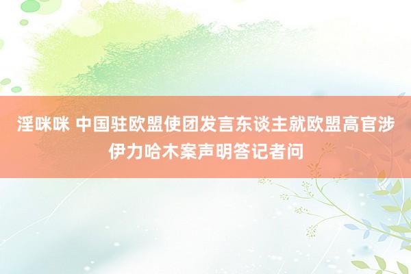 淫咪咪 中国驻欧盟使团发言东谈主就欧盟高官涉伊力哈木案声明答记者问