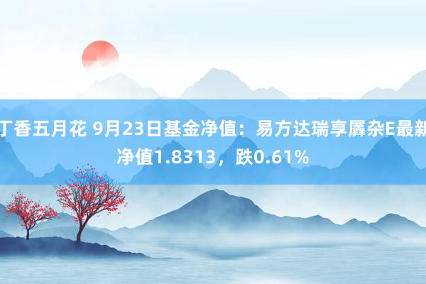 丁香五月花 9月23日基金净值：易方达瑞享羼杂E最新净值1.8313，跌0.61%