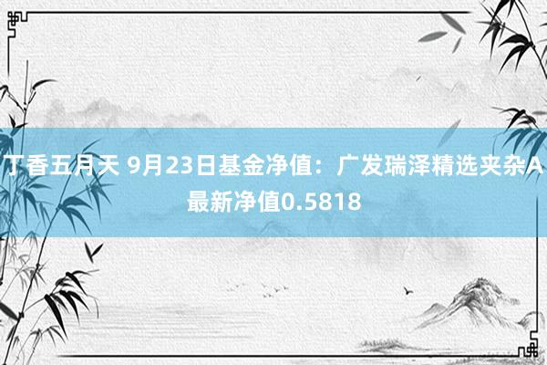 丁香五月天 9月23日基金净值：广发瑞泽精选夹杂A最新净值0.5818