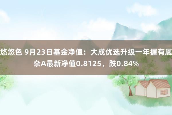 悠悠色 9月23日基金净值：大成优选升级一年握有羼杂A最新净值0.8125，跌0.84%