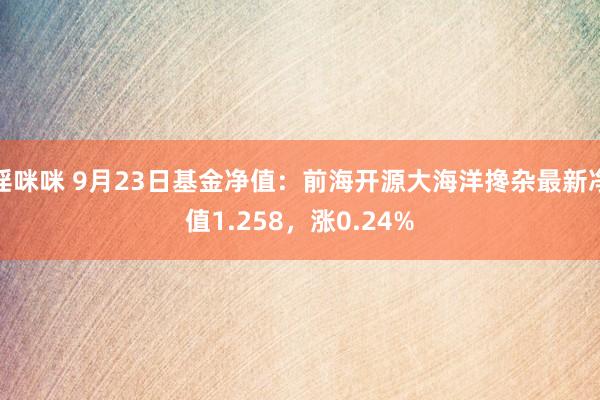 淫咪咪 9月23日基金净值：前海开源大海洋搀杂最新净值1.258，涨0.24%