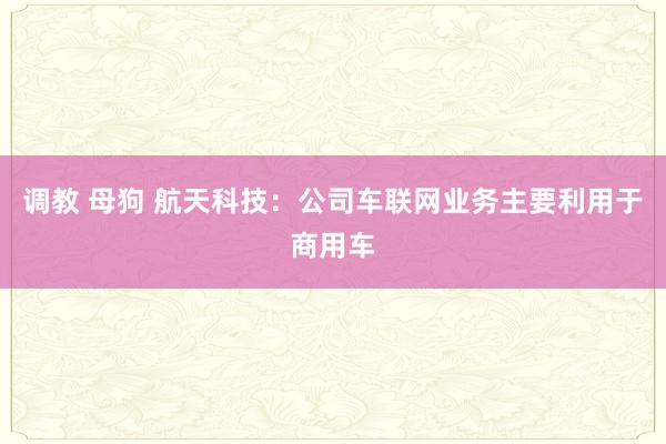 调教 母狗 航天科技：公司车联网业务主要利用于商用车