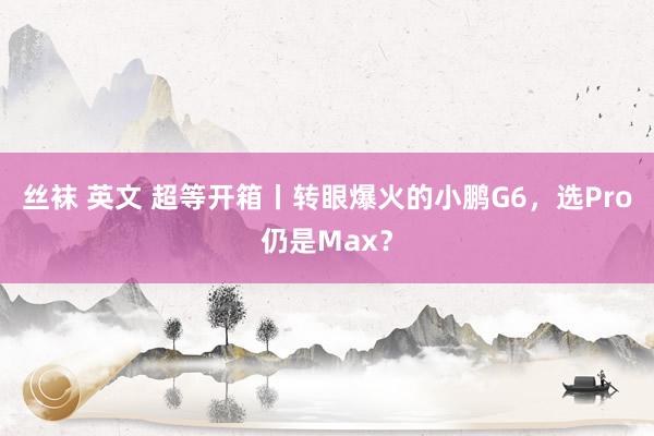 丝袜 英文 超等开箱丨转眼爆火的小鹏G6，选Pro仍是Max？