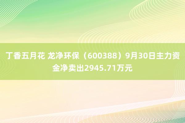 丁香五月花 龙净环保（600388）9月30日主力资金净卖出2945.71万元