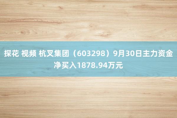 探花 视频 杭叉集团（603298）9月30日主力资金净买入1878.94万元