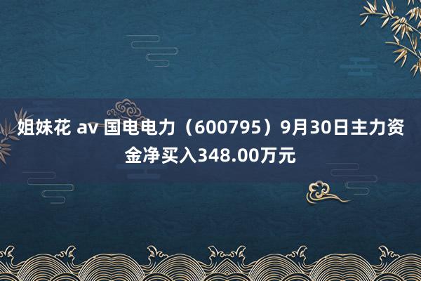 姐妹花 av 国电电力（600795）9月30日主力资金净买入348.00万元