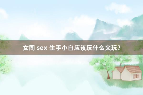 女同 sex 生手小白应该玩什么文玩？