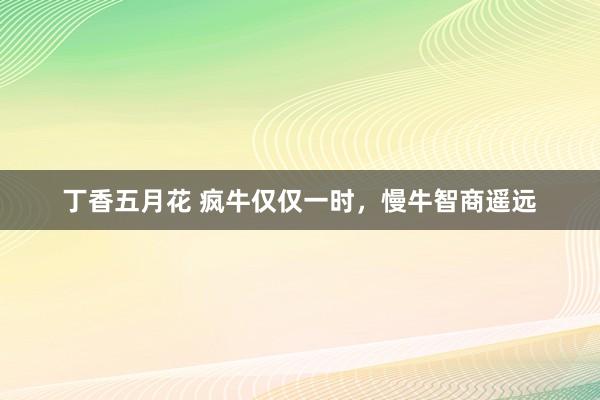 丁香五月花 疯牛仅仅一时，慢牛智商遥远