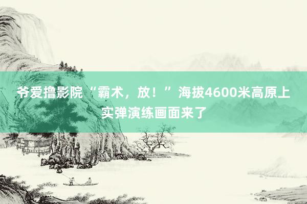 爷爱撸影院 “霸术，放！” 海拔4600米高原上实弹演练画面来了