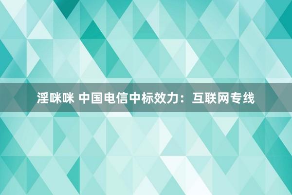 淫咪咪 中国电信中标效力：互联网专线