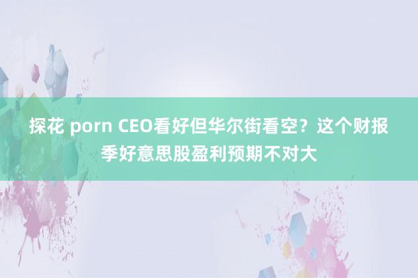 探花 porn CEO看好但华尔街看空？这个财报季好意思股盈利预期不对大