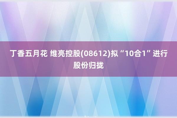 丁香五月花 维亮控股(08612)拟“10合1”进行股份归拢