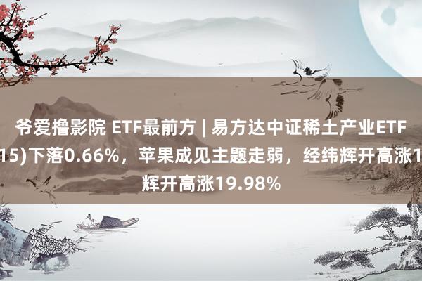 爷爱撸影院 ETF最前方 | 易方达中证稀土产业ETF(159715)下落0.66%，苹果成见主题走弱，经纬辉开高涨19.98%