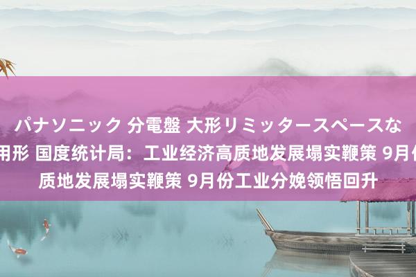 パナソニック 分電盤 大形リミッタースペースなし 露出・半埋込両用形 国度统计局：工业经济高质地发展塌实鞭策 9月份工业分娩领悟回升