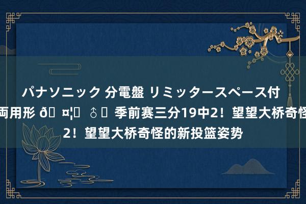 パナソニック 分電盤 リミッタースペース付 露出・半埋込両用形 🤦‍♂️季前赛三分19中2！望望大桥奇怪的新投篮姿势