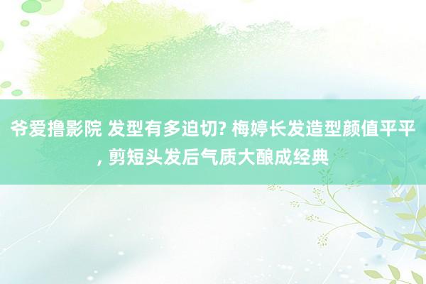 爷爱撸影院 发型有多迫切? 梅婷长发造型颜值平平， 剪短头发后气质大酿成经典