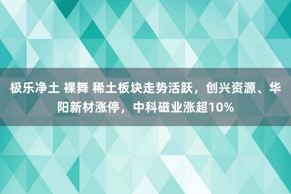 极乐净土 裸舞 稀土板块走势活跃，创兴资源、华阳新材涨停，中科磁业涨超10%