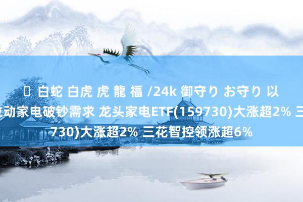 ✨白蛇 白虎 虎 龍 福 /24k 御守り お守り 以旧换新蚁合发力拉动家电破钞需求 龙头家电ETF(159730)大涨超2% 三花智控领涨超6%