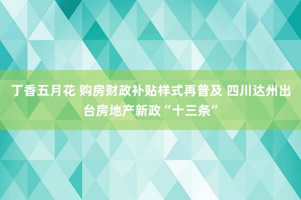 丁香五月花 购房财政补贴样式再普及 四川达州出台房地产新政“十三条”