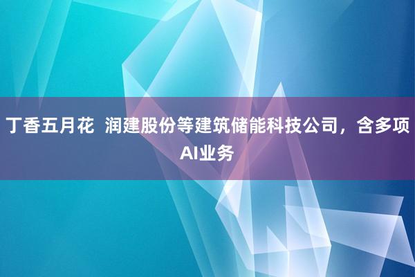 丁香五月花  润建股份等建筑储能科技公司，含多项AI业务