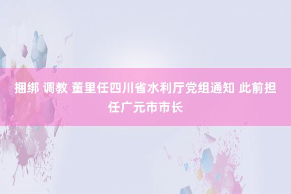 捆绑 调教 董里任四川省水利厅党组通知 此前担任广元市市长