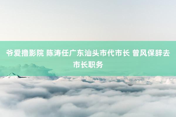 爷爱撸影院 陈涛任广东汕头市代市长 曾风保辞去市长职务