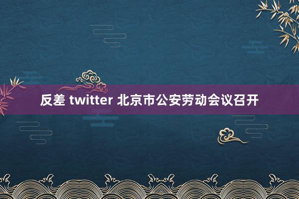 反差 twitter 北京市公安劳动会议召开